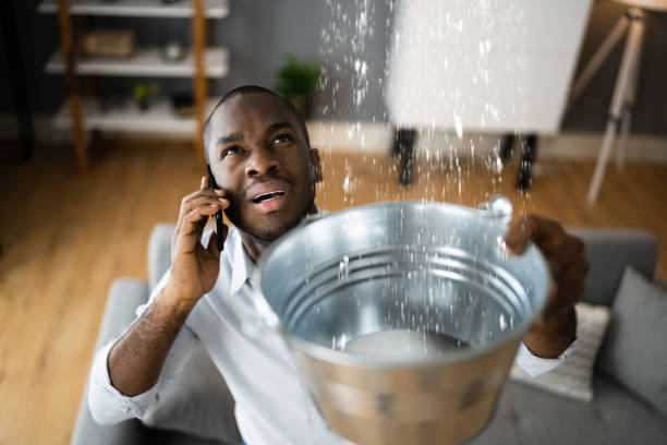 Best Carpet water damage restoration  in Fayette, MO