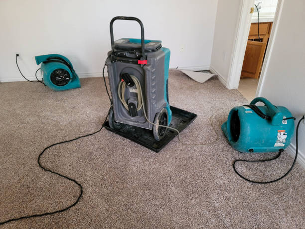 Best Flood damage cleanup  in Fayette, MO