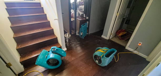 Best Local water damage restoration  in Fayette, MO