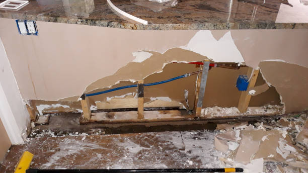 Best Fire Damage Restoration  in Fayette, MO