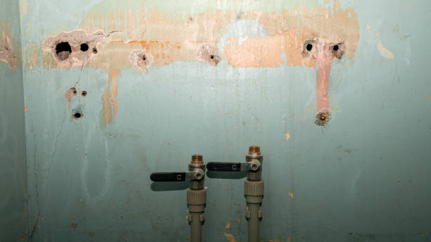 Best 24-hour water damage restoration  in Fayette, MO
