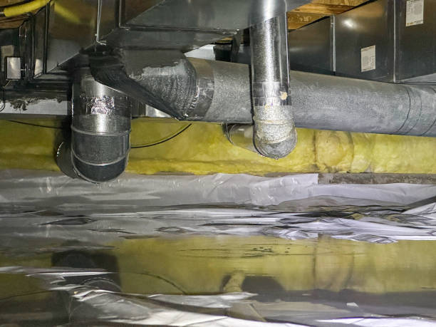 Best Mold removal after water damage  in Fayette, MO