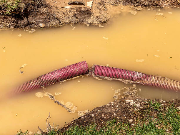 Trusted MO Water damage restoration Experts