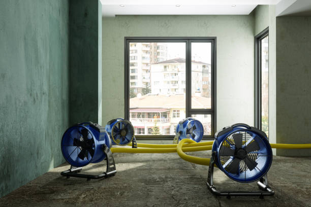 Water damage restoration insurance claims in MO